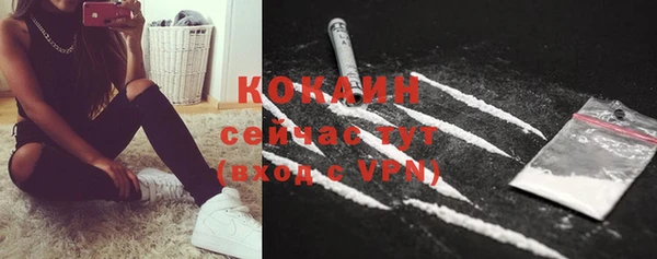 ешки Богданович