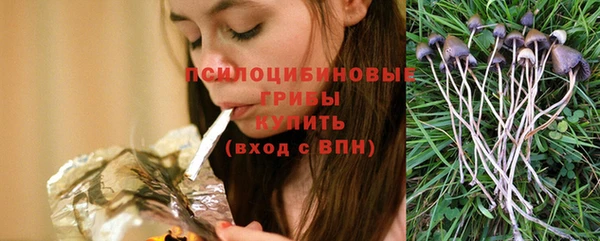 СК Богородск