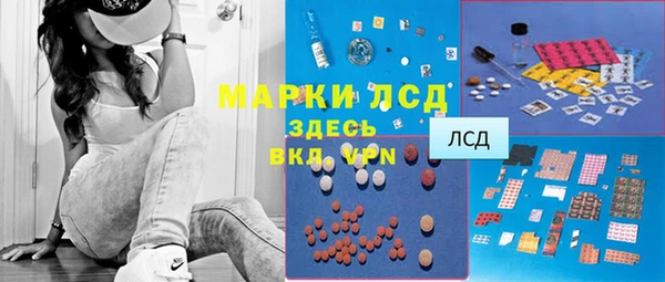 ешки Богданович