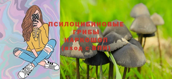 ешки Богданович
