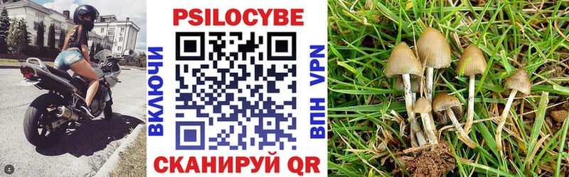 Псилоцибиновые грибы ЛСД Купить где Павловск