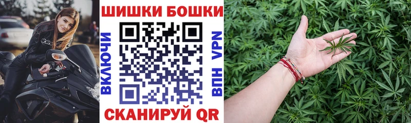 Бошки Шишки марихуана Павловск