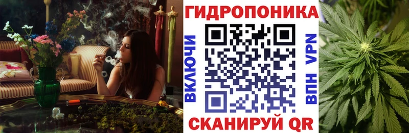Каннабис ГИДРОПОН  Купить где  Павловск 